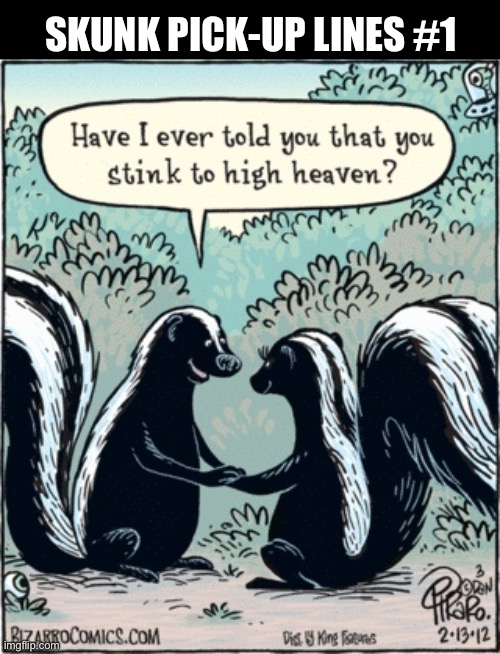 It all started with Pepe Le Pew… | SKUNK PICK-UP LINES #1 | image tagged in comics/cartoons | made w/ Imgflip meme maker