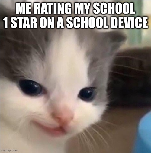 Hehe cat | ME RATING MY SCHOOL 1 STAR ON A SCHOOL DEVICE | image tagged in hehe cat | made w/ Imgflip meme maker