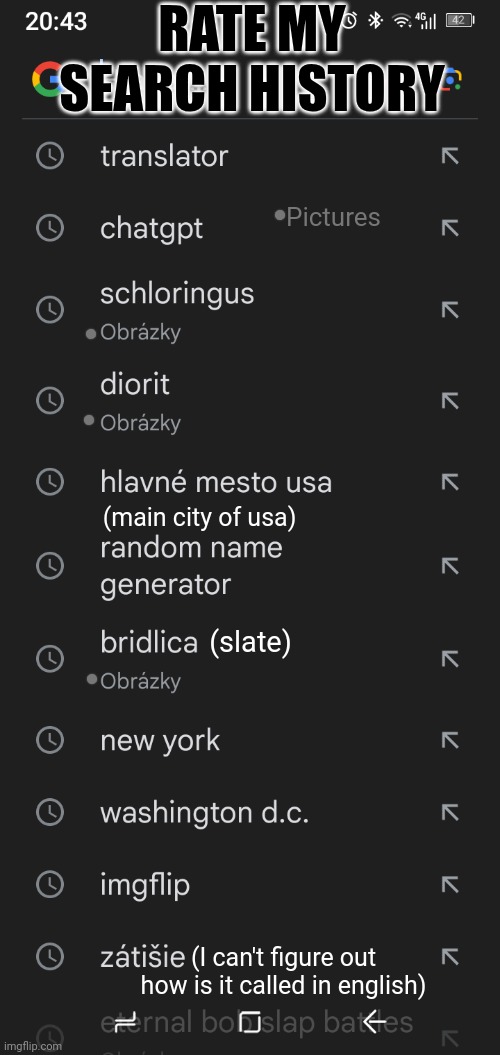 Some nice search history. :) | RATE MY SEARCH HISTORY; Pictures; (main city of usa); (slate); (I can't figure out how is it called in english) | image tagged in search history | made w/ Imgflip meme maker