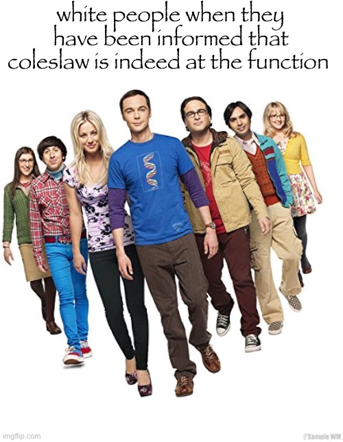 im craving coleslaw | white people when they have been informed that coleslaw is indeed at the function | image tagged in gifs,memes,funny,shitpost,big bang theory,msmg | made w/ Imgflip meme maker