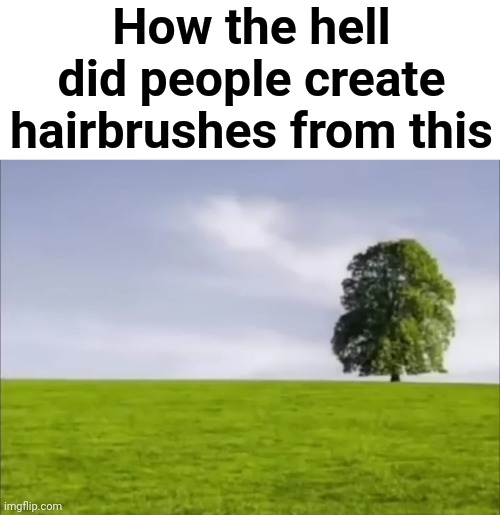 How the hell did people create hairbrushes from this | made w/ Imgflip meme maker