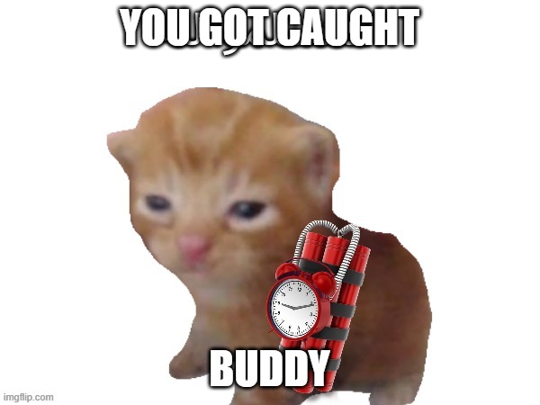 You got caught | YOU GOT CAUGHT BUDDY | image tagged in you got caught | made w/ Imgflip meme maker