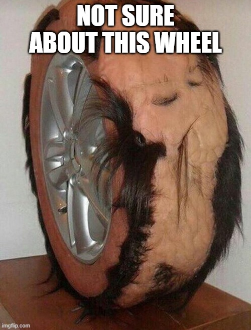 Skin Wheel | NOT SURE ABOUT THIS WHEEL | image tagged in cursed image | made w/ Imgflip meme maker