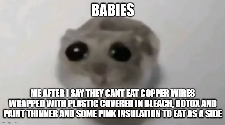 Sad Hamster | BABIES; ME AFTER I SAY THEY CANT EAT COPPER WIRES WRAPPED WITH PLASTIC COVERED IN BLEACH, BOTOX AND PAINT THINNER AND SOME PINK INSULATION TO EAT AS A SIDE | image tagged in sad hamster | made w/ Imgflip meme maker