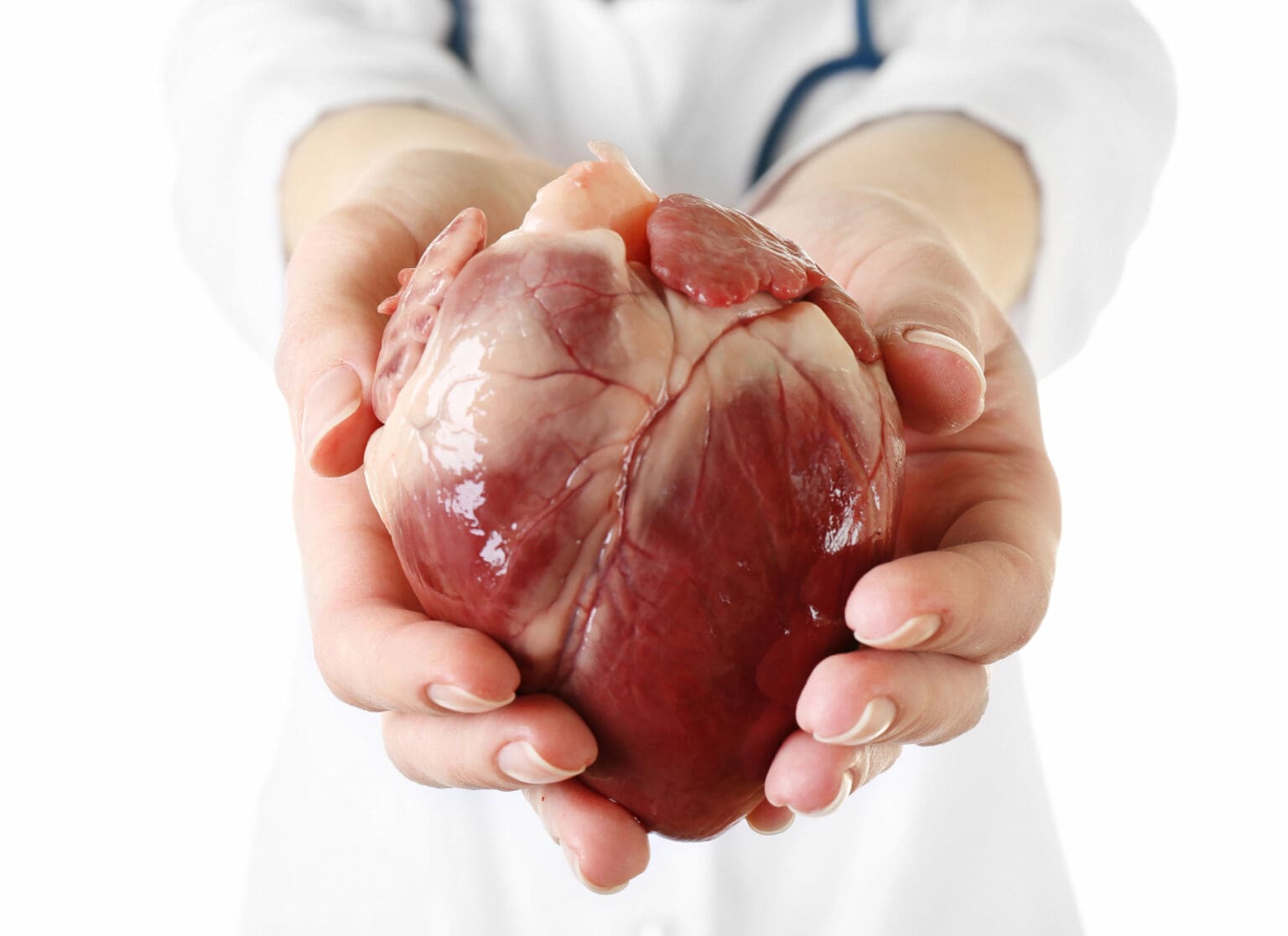 Human heart Blank Meme Template