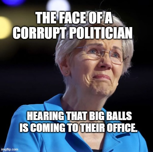 Sad Liz | THE FACE OF A CORRUPT POLITICIAN; HEARING THAT BIG BALLS IS COMING TO THEIR OFFICE. | image tagged in sad liz | made w/ Imgflip meme maker