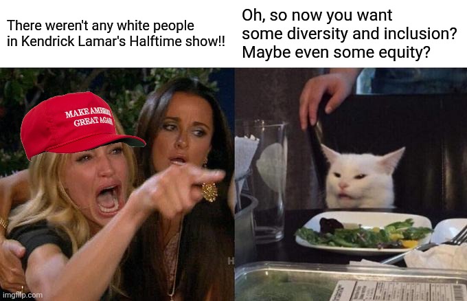 I guess they do understand it afterall | There weren't any white people in Kendrick Lamar's Halftime show!! Oh, so now you want some diversity and inclusion? Maybe even some equity? | image tagged in memes,woman yelling at cat | made w/ Imgflip meme maker