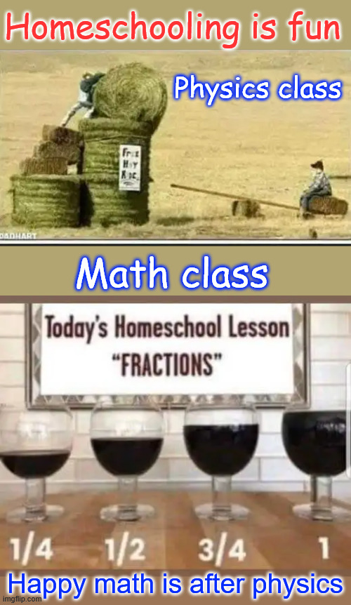 Homeschool is fun | Homeschooling is fun; Physics class; Math class; Happy math is after physics | image tagged in fun,homeschool | made w/ Imgflip meme maker