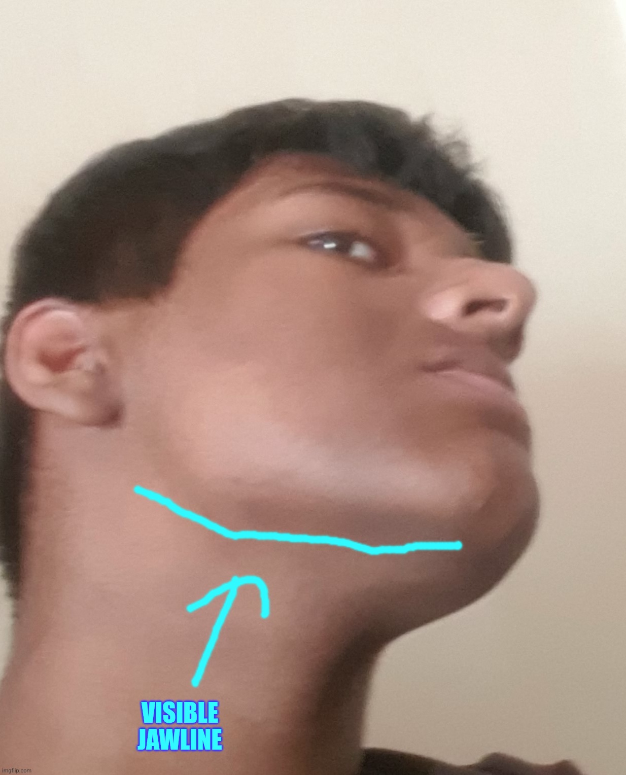 VISIBLE JAWLINE | made w/ Imgflip meme maker