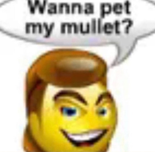 Wanna pet my mullet | image tagged in wanna pet my mullet | made w/ Imgflip meme maker