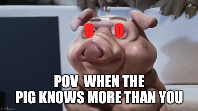 the pig know$ | O        O; POV  WHEN THE PIG KNOWS MORE THAN YOU | image tagged in peppa pig | made w/ Imgflip meme maker