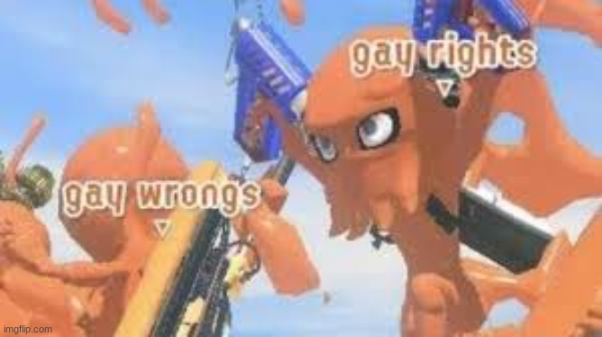 Gay rights and Gay wrongs | image tagged in lgbtq,splatoon | made w/ Imgflip meme maker