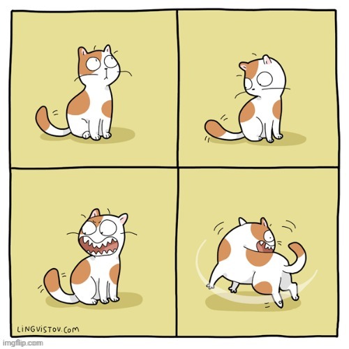 Chasing its tail | image tagged in cats,cat,tail,chase,comics,comics/cartoons | made w/ Imgflip meme maker