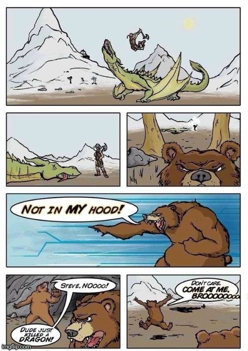 Bear hood | image tagged in hood,bear,bears,dragon,comics,comics/cartoons | made w/ Imgflip meme maker