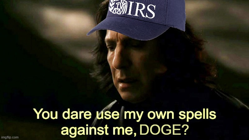 The IRS Audit | DOGE? | image tagged in how dare you use my own spells against me potter | made w/ Imgflip meme maker