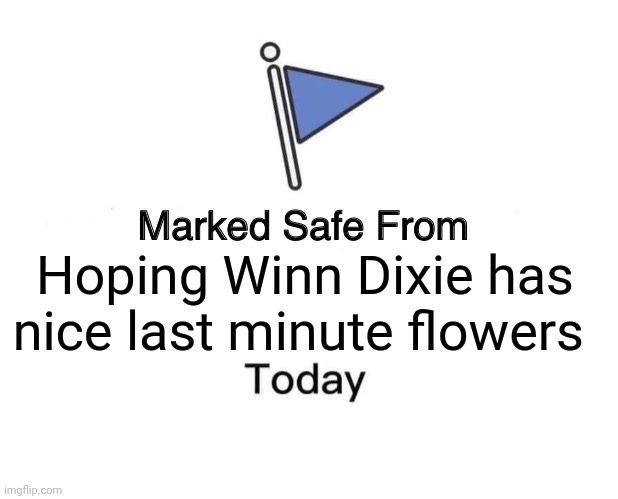 Marked Safe From Meme | Hoping Winn Dixie has nice last minute flowers | image tagged in memes,marked safe from | made w/ Imgflip meme maker