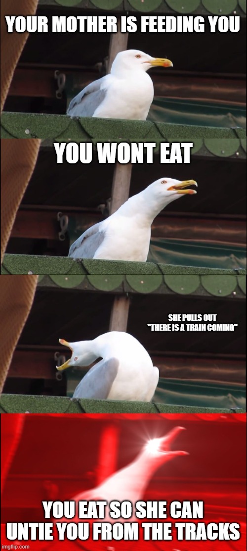 anyone else exprenicned this? | YOUR MOTHER IS FEEDING YOU; YOU WONT EAT; SHE PULLS OUT "THERE IS A TRAIN COMING"; YOU EAT SO SHE CAN UNTIE YOU FROM THE TRACKS | image tagged in memes,inhaling seagull | made w/ Imgflip meme maker