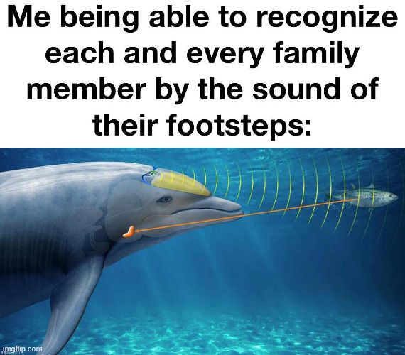 image title | ME BEING ABLE TO RECOGNIZE EACH AND EVERY FAMILY MEMBER BY THE SOUND OF THEIR FOOTSTEPS: | image tagged in image tags | made w/ Imgflip meme maker