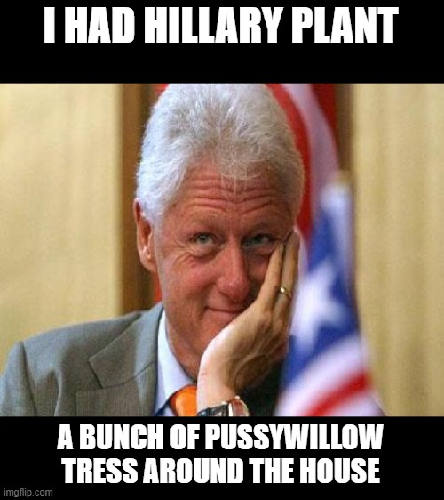 smiling bill clinton | I HAD HILLARY PLANT A BUNCH OF PUSSYWILLOW TRESS AROUND THE HOUSE | image tagged in smiling bill clinton | made w/ Imgflip meme maker