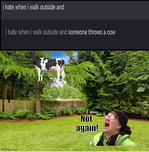 OW that hurt | Not 
again! | image tagged in sunny backyard | made w/ Imgflip meme maker