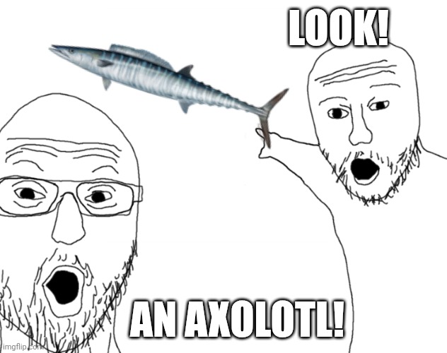 Soyjak Pointing | LOOK! AN AXOLOTL! | image tagged in soyjak pointing | made w/ Imgflip meme maker