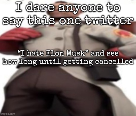 Ze medic | I dare anyone to say this one twitter; “I hate Elon Musk” and see how long until getting cancelled | image tagged in ze medic,msmg | made w/ Imgflip meme maker