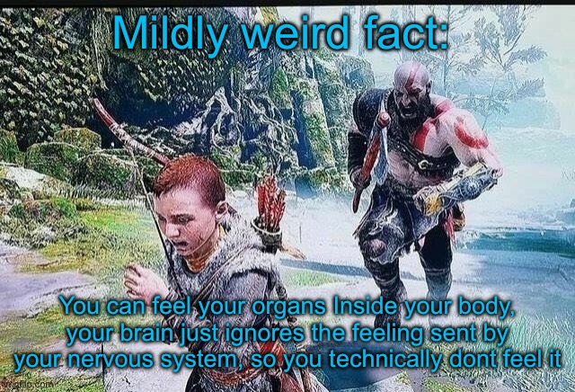 Kratos chasing Atreus | Mildly weird fact:; You can feel your organs Inside your body, your brain just ignores the feeling sent by your nervous system, so you technically dont feel it | image tagged in kratos chasing atreus | made w/ Imgflip meme maker