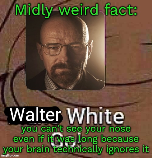 Walter White Go! | Midly weird fact:; you can't see your nose even if it was long because your brain technically ignores it | image tagged in walter white go | made w/ Imgflip meme maker