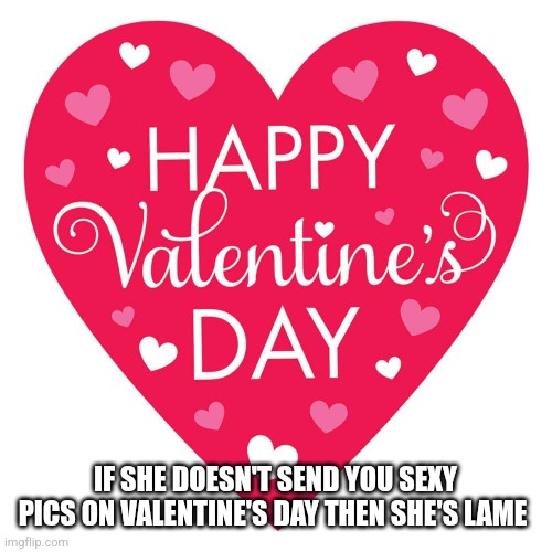 If she doesn't send you pics on Valentine's Day | IF SHE DOESN'T SEND YOU SEXY PICS ON VALENTINE'S DAY THEN SHE'S LAME | image tagged in happy valentine's day | made w/ Imgflip meme maker