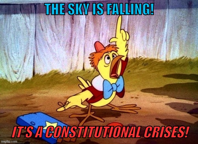 Donald Trump | THE SKY IS FALLING! IT'S A CONSTITUTIONAL CRISES! | image tagged in chicken little large,elon musk,the constitution,donald trump,doge,funny memes | made w/ Imgflip meme maker