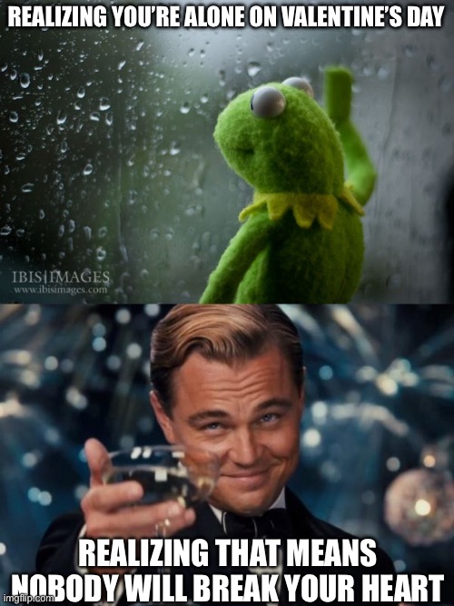 Here’s to being single on Valentine’s Day guys, stay strong | REALIZING YOU’RE ALONE ON VALENTINE’S DAY; REALIZING THAT MEANS NOBODY WILL BREAK YOUR HEART | image tagged in kermit window,memes,leonardo dicaprio cheers,alone,valentine's day,love | made w/ Imgflip meme maker