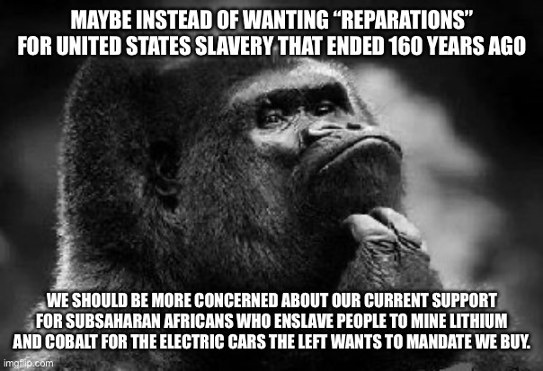 thinking monkey | MAYBE INSTEAD OF WANTING “REPARATIONS” FOR UNITED STATES SLAVERY THAT ENDED 160 YEARS AGO; WE SHOULD BE MORE CONCERNED ABOUT OUR CURRENT SUPPORT FOR SUBSAHARAN AFRICANS WHO ENSLAVE PEOPLE TO MINE LITHIUM AND COBALT FOR THE ELECTRIC CARS THE LEFT WANTS TO MANDATE WE BUY. | image tagged in thinking monkey | made w/ Imgflip meme maker