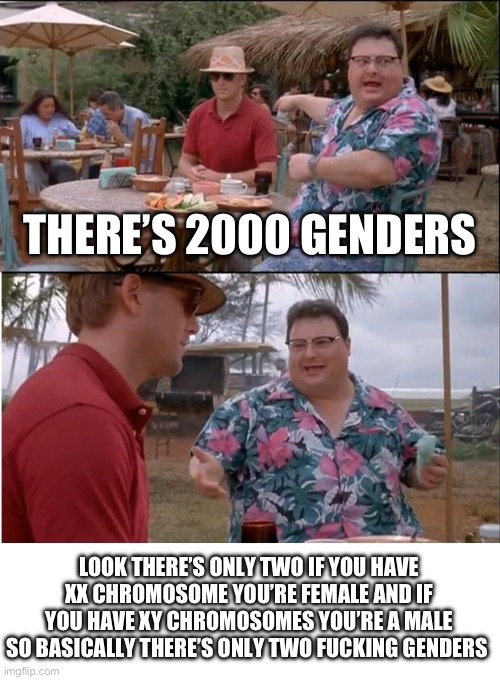 If you’re a transmale or transfemale what are your Chromosomes | THERE’S 2000 GENDERS; LOOK THERE’S ONLY TWO IF YOU HAVE XX CHROMOSOME YOU’RE FEMALE AND IF YOU HAVE XY CHROMOSOMES YOU’RE A MALE SO BASICALLY THERE’S ONLY TWO FUCKING GENDERS | image tagged in memes,see nobody cares | made w/ Imgflip meme maker