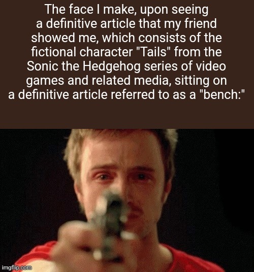 jesse pinkman pointing gun | The face I make, upon seeing a definitive article that my friend showed me, which consists of the fictional character "Tails" from the Sonic the Hedgehog series of video games and related media, sitting on a definitive article referred to as a "bench:" | image tagged in jesse pinkman pointing gun | made w/ Imgflip meme maker