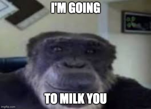 monke staring and smiling | I'M GOING; TO MILK YOU | image tagged in monke staring and smiling,memes,funny,monke,shitpost,wtf | made w/ Imgflip meme maker