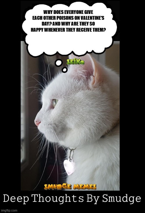 Smudge doesn't understand Valentine's day | WHY DOES EVERYONE GIVE EACH OTHER POISONS ON VALENTINE'S DAY? AND WHY ARE THEY SO HAPPY WHENEVER THEY RECEIVE THEM? | image tagged in smudge thinking - seiko | made w/ Imgflip meme maker