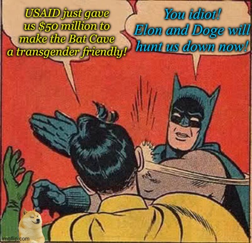 The Fall of Batman and Robin | USAID just gave us $50 million to make the Bat Cave a transgender friendly! You idiot! Elon and Doge will hunt us down now! | image tagged in memes,batman slapping robin,evilmandoevil,funny | made w/ Imgflip meme maker