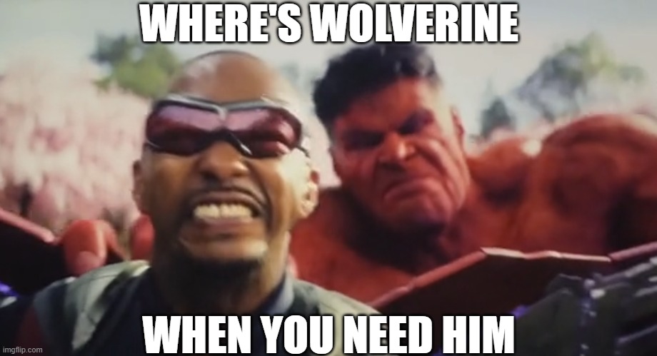 Where's Wolverine | WHERE'S WOLVERINE; WHEN YOU NEED HIM | image tagged in marvel cinematic universe,falcon,captain america,incredible hulk,funny memes,wolverine | made w/ Imgflip meme maker