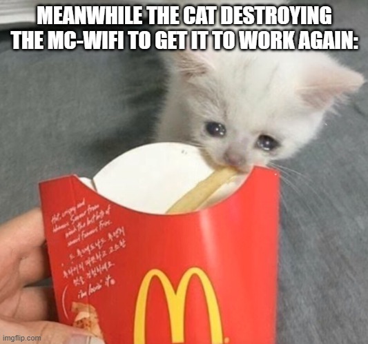 cat stealing mcdonalds fry | MEANWHILE THE CAT DESTROYING THE MC-WIFI TO GET IT TO WORK AGAIN: | image tagged in cat stealing mcdonalds fry | made w/ Imgflip meme maker