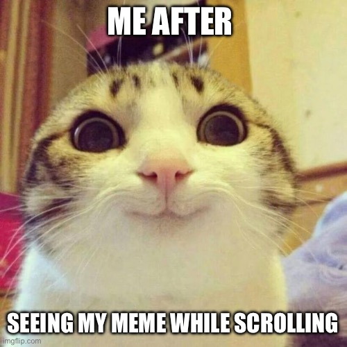 It feels so good | ME AFTER; SEEING MY MEME WHILE SCROLLING | image tagged in memes,smiling cat | made w/ Imgflip meme maker