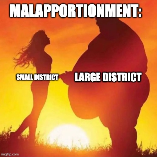 ap gov | MALAPPORTIONMENT:; LARGE DISTRICT; SMALL DISTRICT | image tagged in government corruption | made w/ Imgflip meme maker