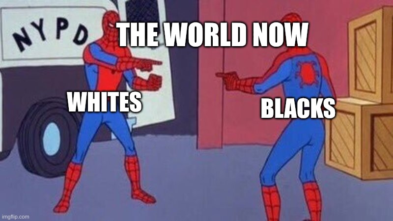 spiderman pointing at spiderman | THE WORLD NOW; WHITES; BLACKS | image tagged in spiderman pointing at spiderman | made w/ Imgflip meme maker