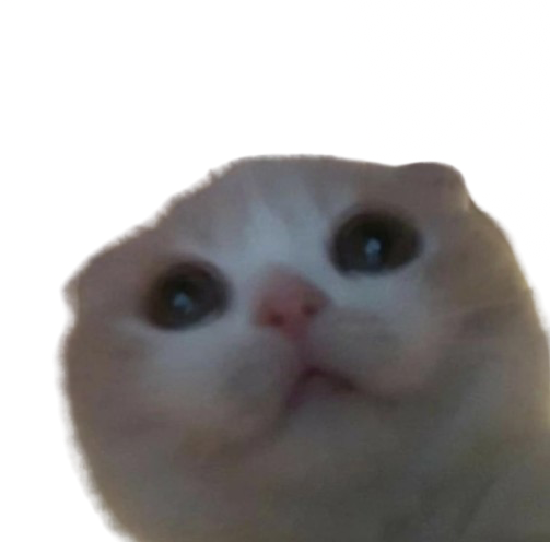 High Quality Grrr Blank Meme Template