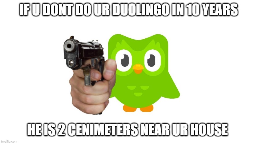 duolingo is coming | IF U DONT DO UR DUOLINGO IN 10 YEARS; HE IS 2 CENIMETERS NEAR UR HOUSE | image tagged in duolingo with gun | made w/ Imgflip meme maker