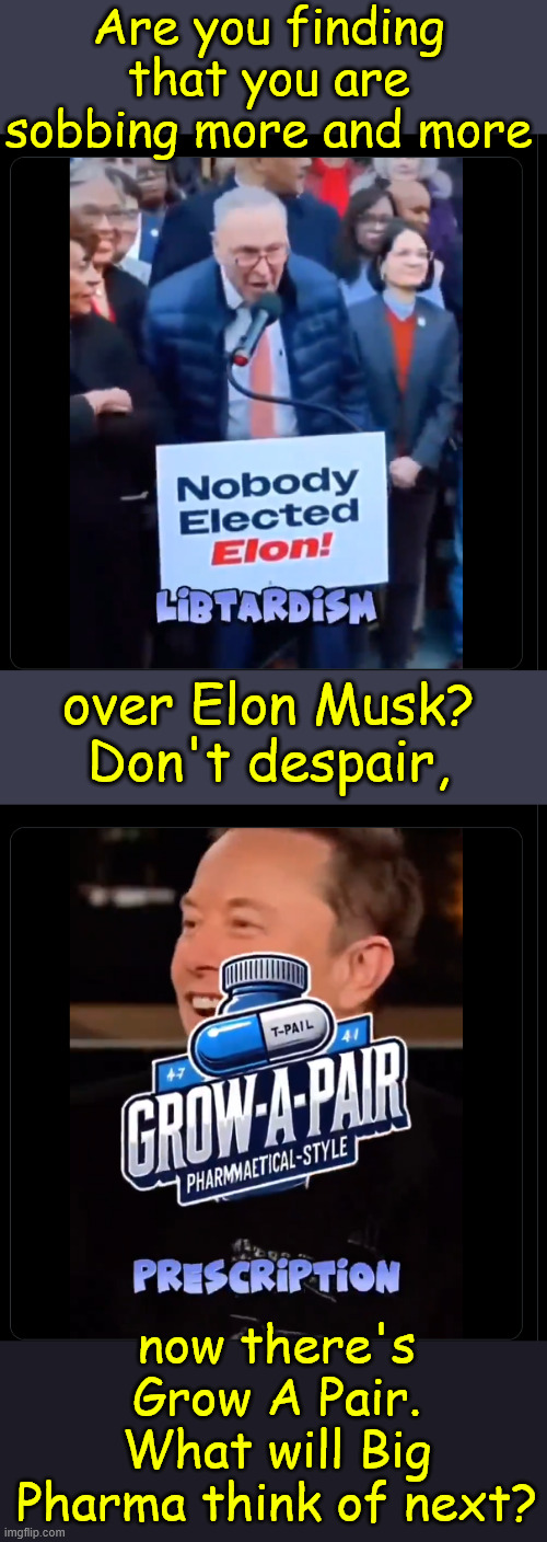 Don't despair my liberal friends... now there's Grow A Pair...  no more psycho issues. | Are you finding that you are sobbing more and more; over Elon Musk?
Don't despair, now there's Grow A Pair. What will Big Pharma think of next? | image tagged in just for libs,grow a pair,big pharma,fixing psycho issues | made w/ Imgflip meme maker