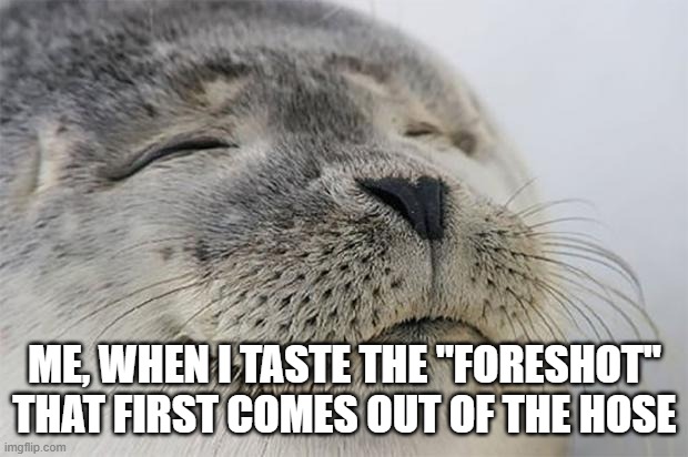 Satisfied Seal Meme | ME, WHEN I TASTE THE "FORESHOT" THAT FIRST COMES OUT OF THE HOSE | image tagged in memes,satisfied seal | made w/ Imgflip meme maker