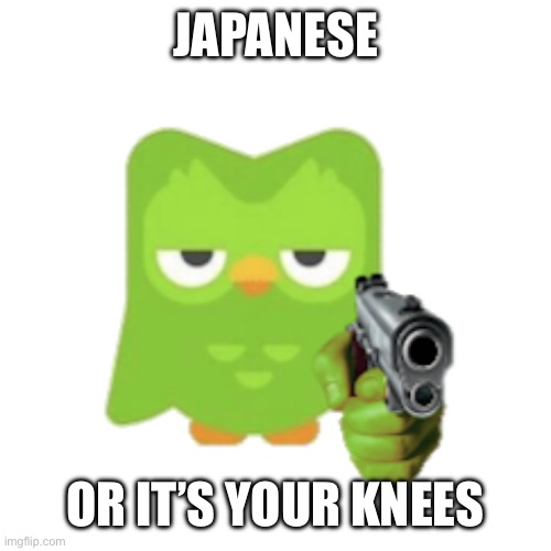 Duolingo | JAPANESE OR IT’S YOUR KNEES | image tagged in duolingo | made w/ Imgflip meme maker