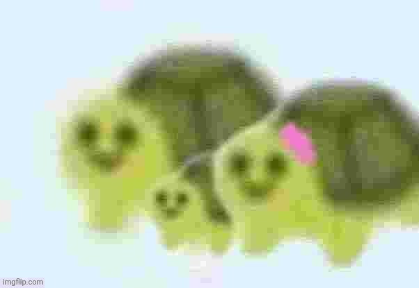 low quality turtle celebrating valentines day | image tagged in low quality turtle family | made w/ Imgflip meme maker