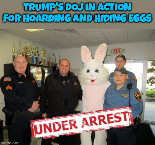 Trump finally takes action on eggs | TRUMP'S DOJ IN ACTION FOR HOARDING AND HIDING EGGS | image tagged in trump finally takes action on eggs,easter criminal bunny,dei eggs,flu the coup,bunny to wear a keychain,bunny hopping mad | made w/ Imgflip meme maker