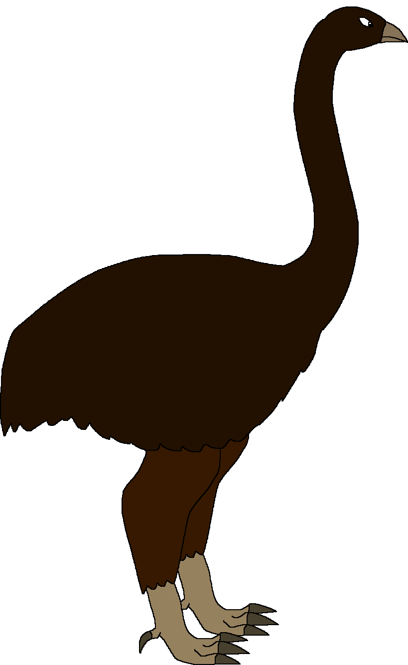 Male Dinornis (Paleoverse + EOIverse) Blank Meme Template